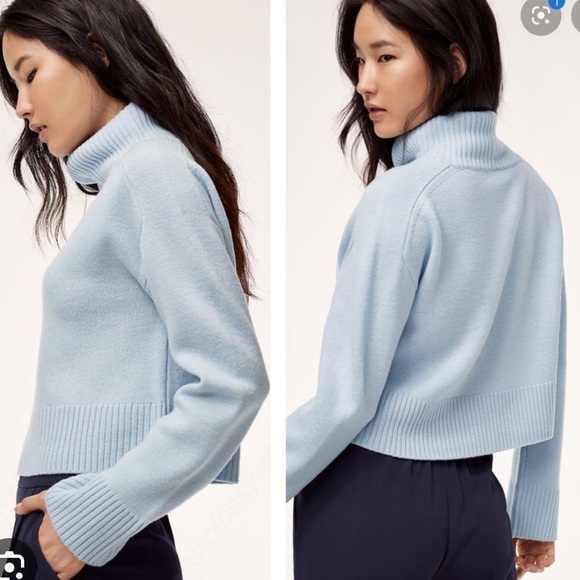 Aritzia Sweaters - Aritzia Babaton Titus 100% Merino Wool Turtleneck Sweater Large